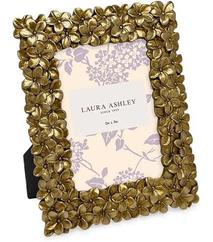 Amazon.com - Laura Ashley 2x3 Gold Vintage Inspired Resin